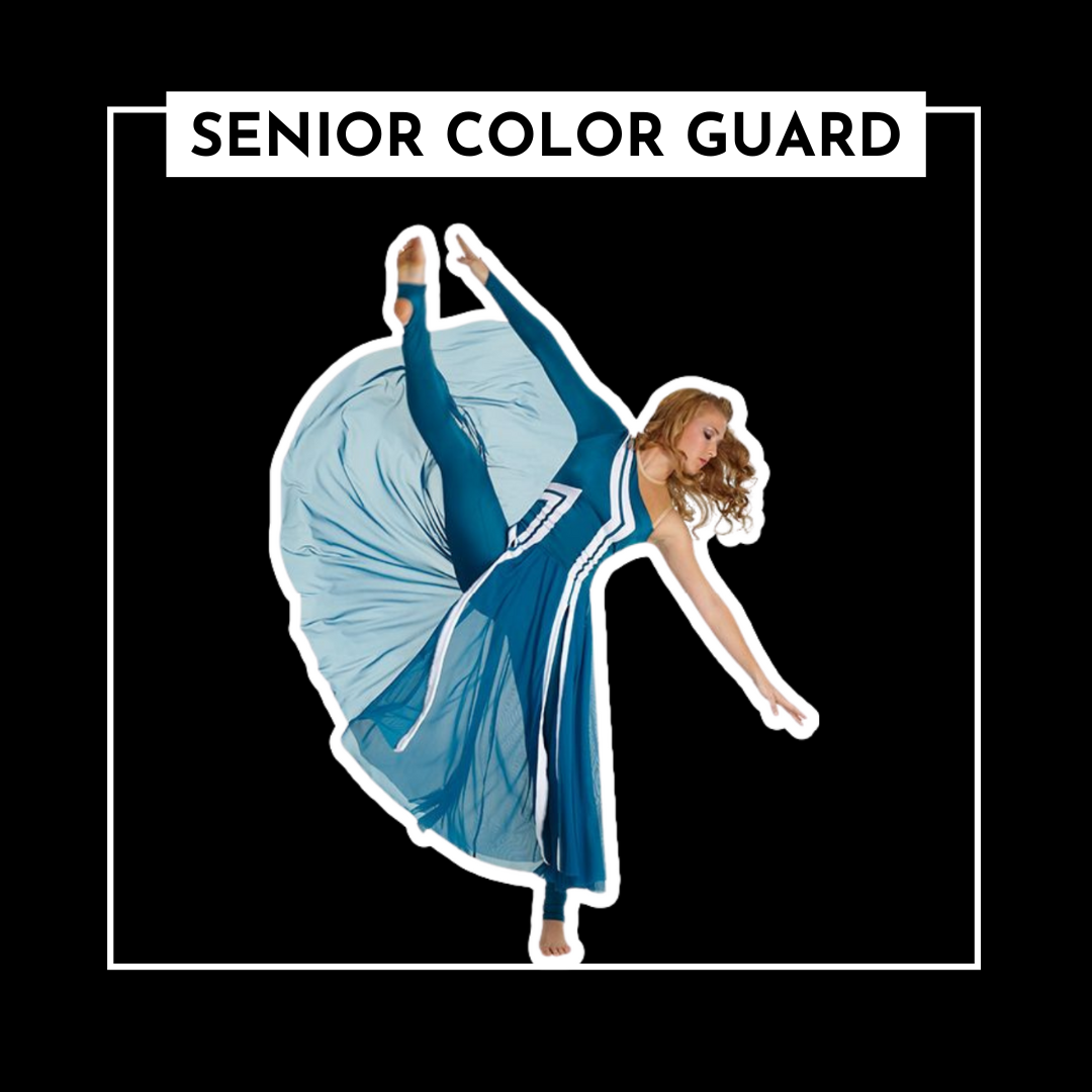 Senior Color Guard